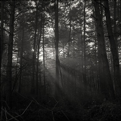 dailyPhoto35